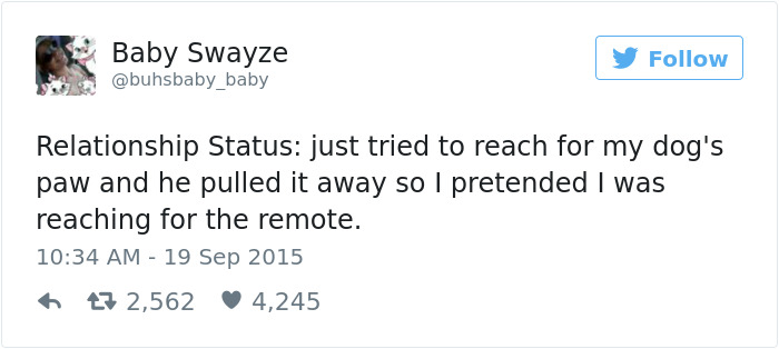 147 Of The Best Dog Tweets Of All Time