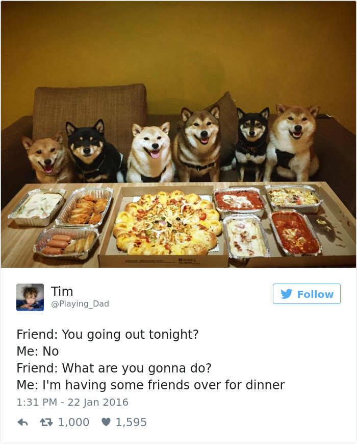 147 Of The Best Dog Tweets Of All Time