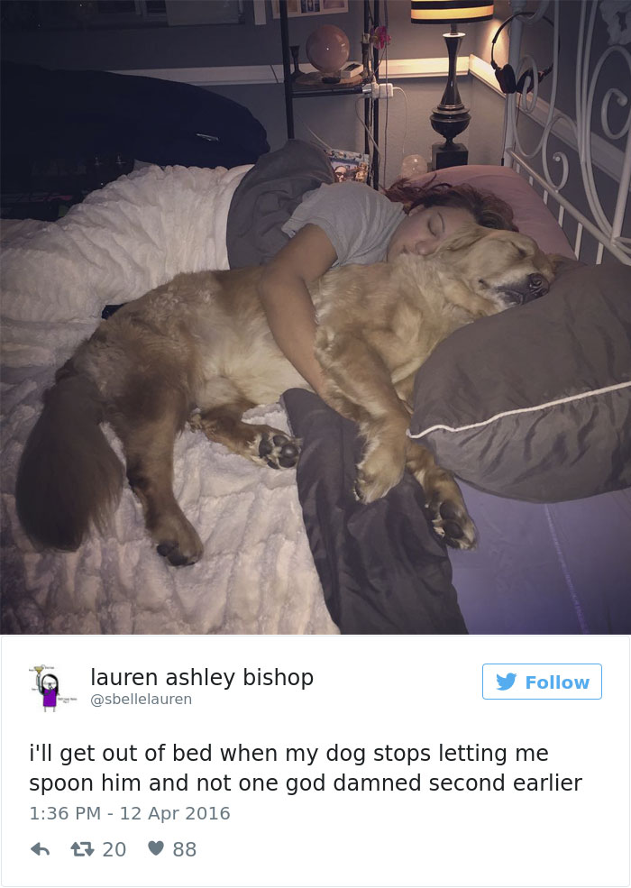 147 Of The Best Dog Tweets Of All Time
