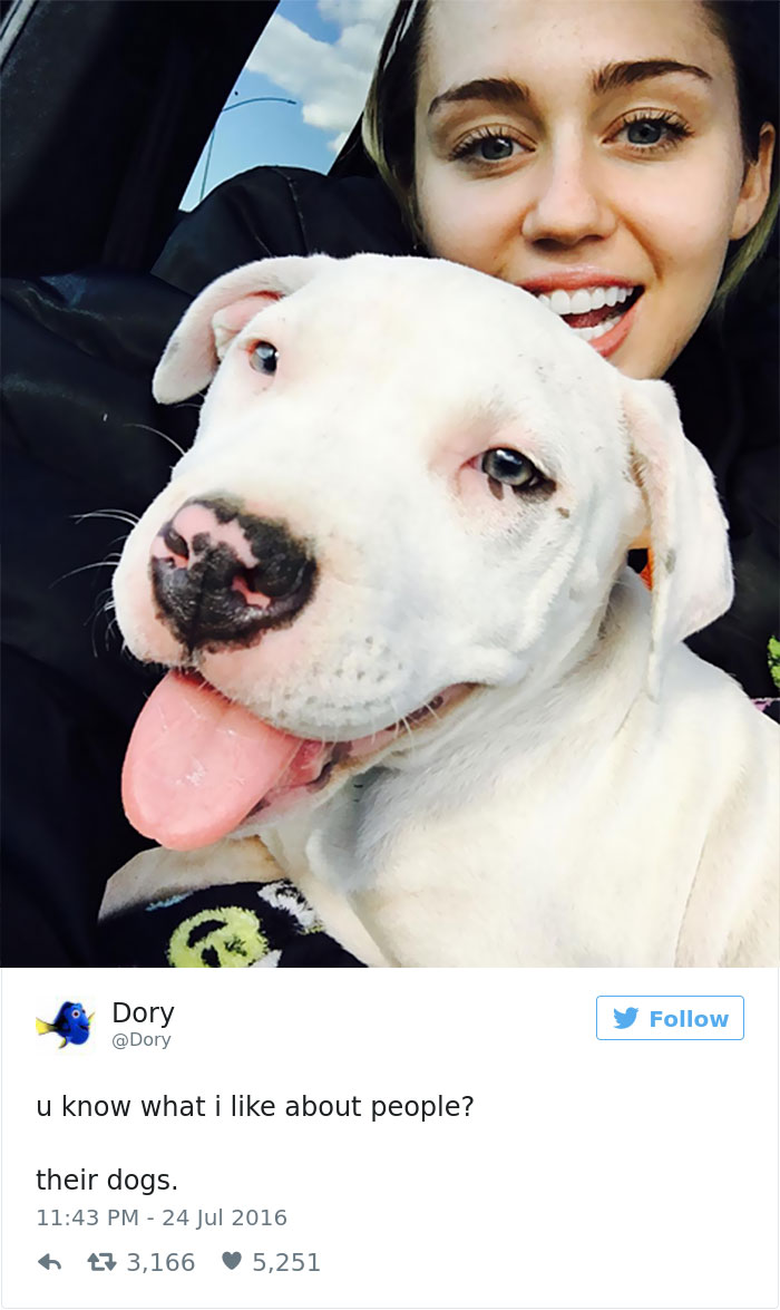147 Of The Best Dog Tweets Of All Time