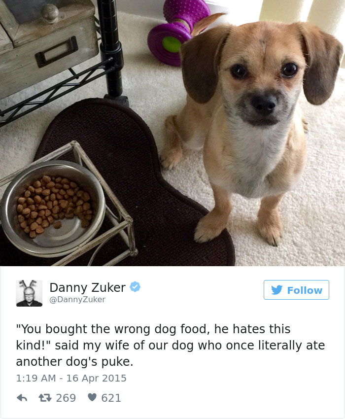 147 Of The Best Dog Tweets Of All Time