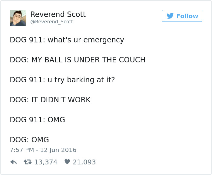147 Of The Best Dog Tweets Of All Time