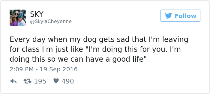 147 Of The Best Dog Tweets Of All Time