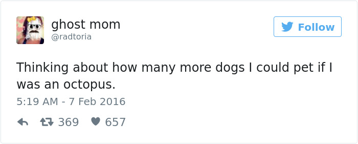 147 Of The Best Dog Tweets Of All Time