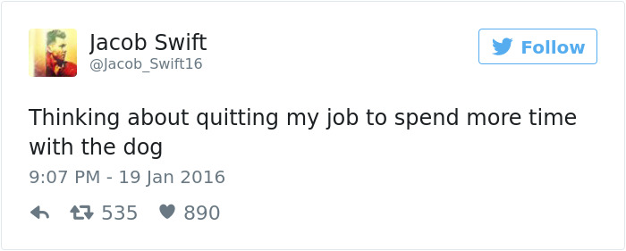 147 Of The Best Dog Tweets Of All Time