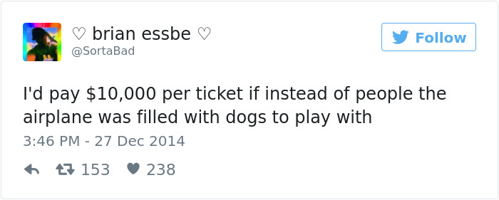 147 Of The Best Dog Tweets Of All Time