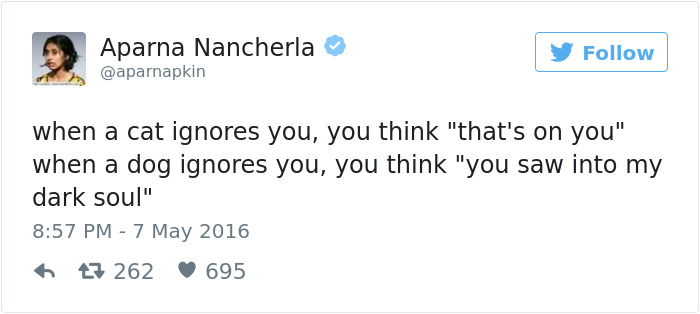 147 Of The Best Dog Tweets Of All Time