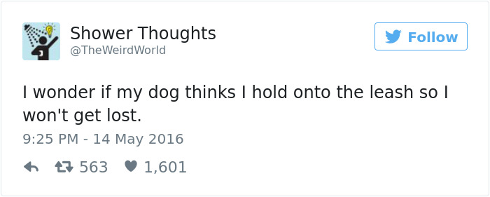 147 Of The Best Dog Tweets Of All Time
