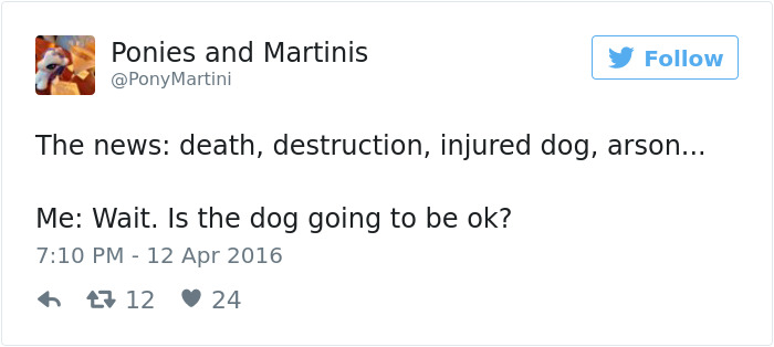 147 Of The Best Dog Tweets Of All Time