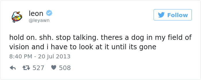 147 Of The Best Dog Tweets Of All Time