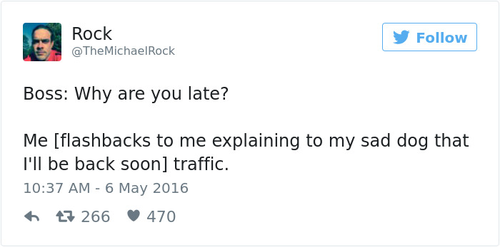147 Of The Best Dog Tweets Of All Time