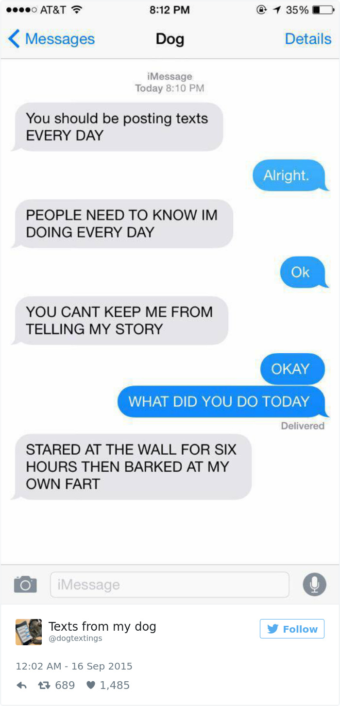 147 Of The Best Dog Tweets Of All Time