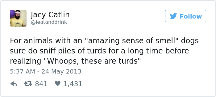 147 Of The Best Dog Tweets Of All Time