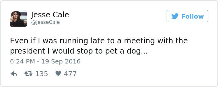 147 Of The Best Dog Tweets Of All Time