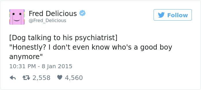 147 Of The Best Dog Tweets Of All Time
