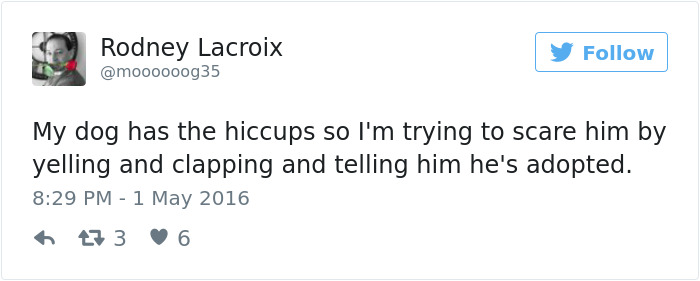 147 Of The Best Dog Tweets Of All Time
