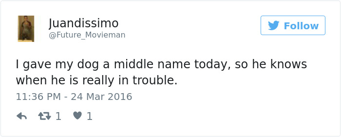 147 Of The Best Dog Tweets Of All Time