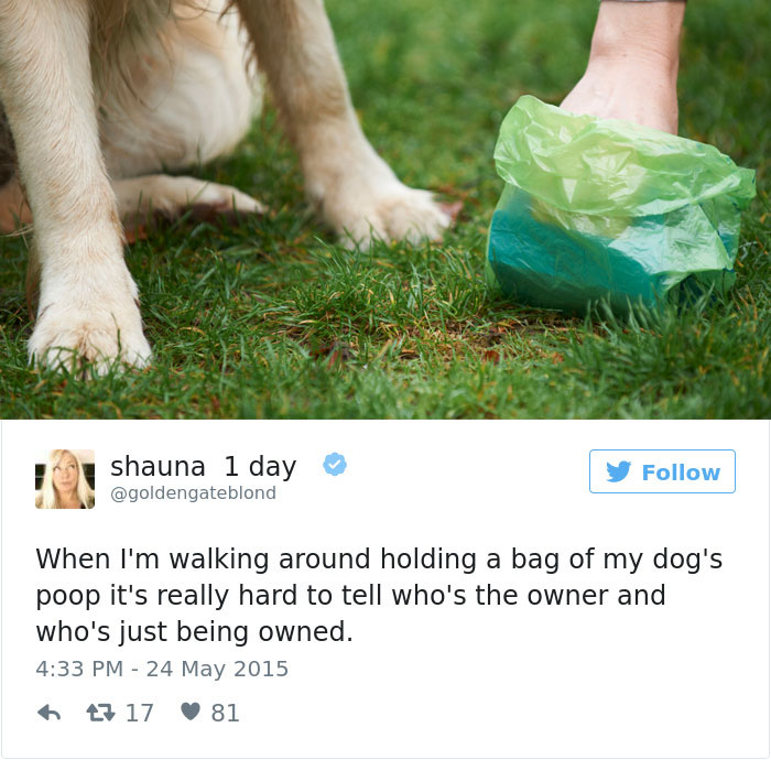 147 Of The Best Dog Tweets Of All Time