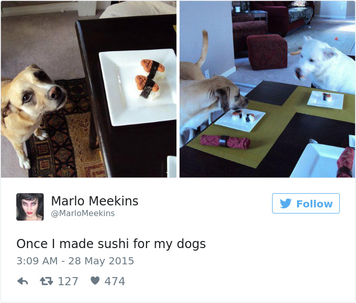 147 Of The Best Dog Tweets Of All Time