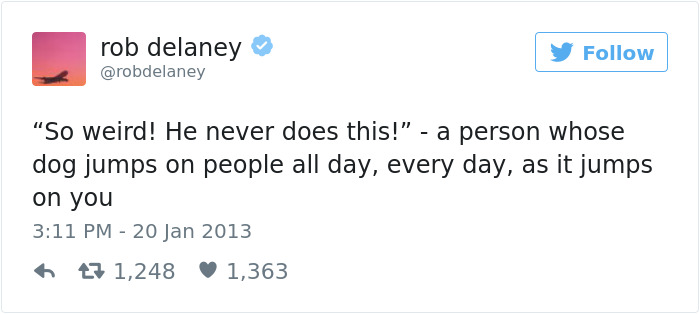 147 Of The Best Dog Tweets Of All Time