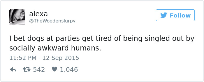 147 Of The Best Dog Tweets Of All Time
