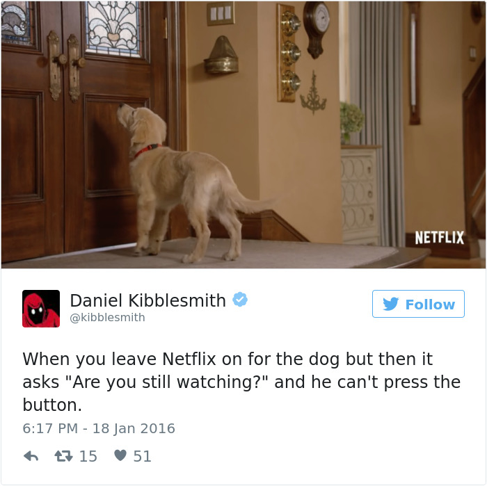 147 Of The Best Dog Tweets Of All Time