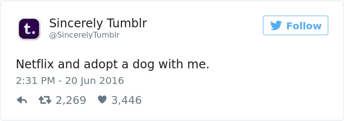 147 Of The Best Dog Tweets Of All Time