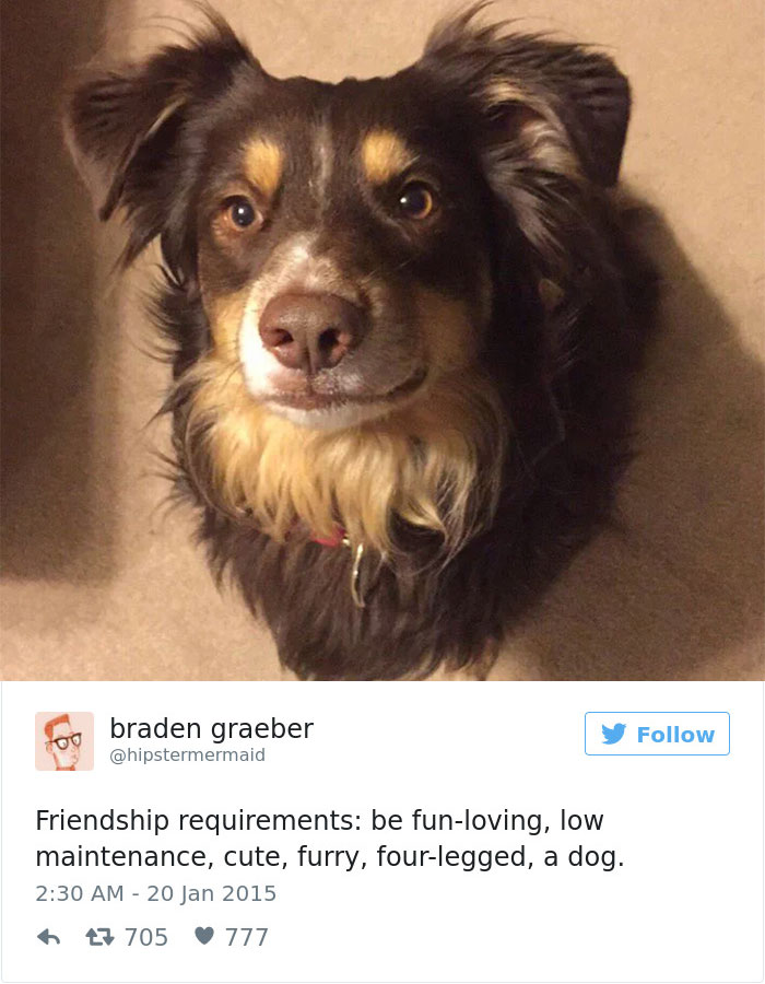 147 Of The Best Dog Tweets Of All Time