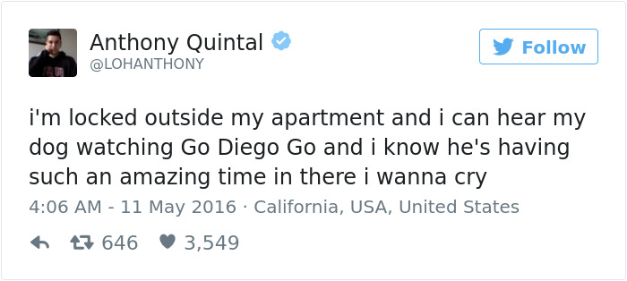 147 Of The Best Dog Tweets Of All Time