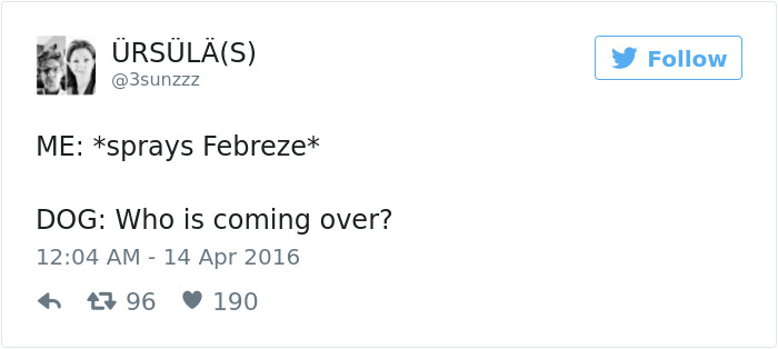 147 Of The Best Dog Tweets Of All Time