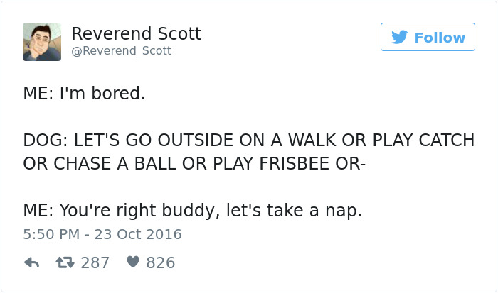 147 Of The Best Dog Tweets Of All Time