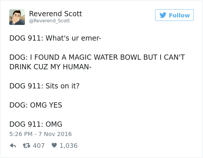 147 Of The Best Dog Tweets Of All Time