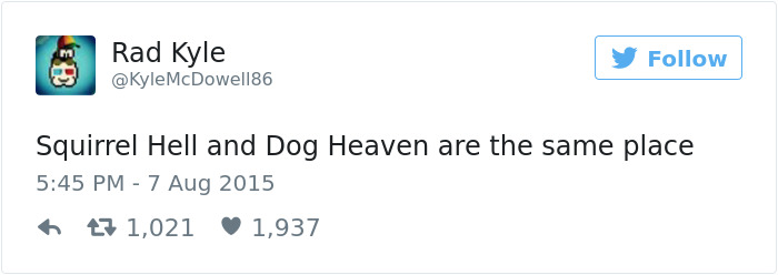 147 Of The Best Dog Tweets Of All Time