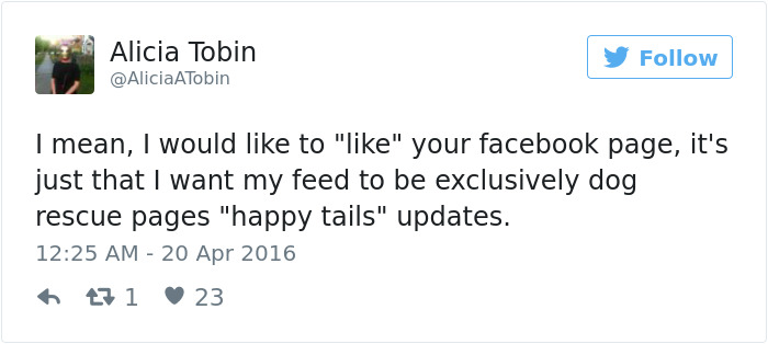 147 Of The Best Dog Tweets Of All Time