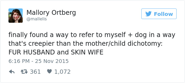 147 Of The Best Dog Tweets Of All Time