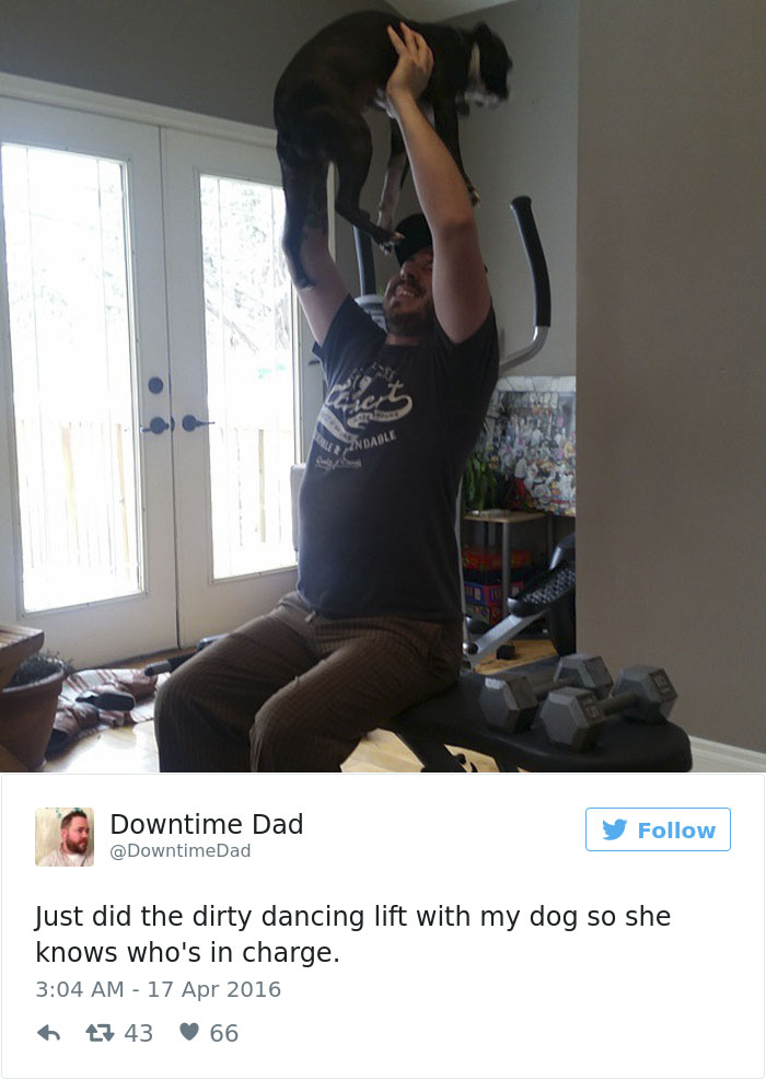 147 Of The Best Dog Tweets Of All Time