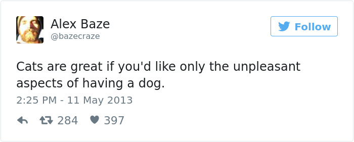 147 Of The Best Dog Tweets Of All Time