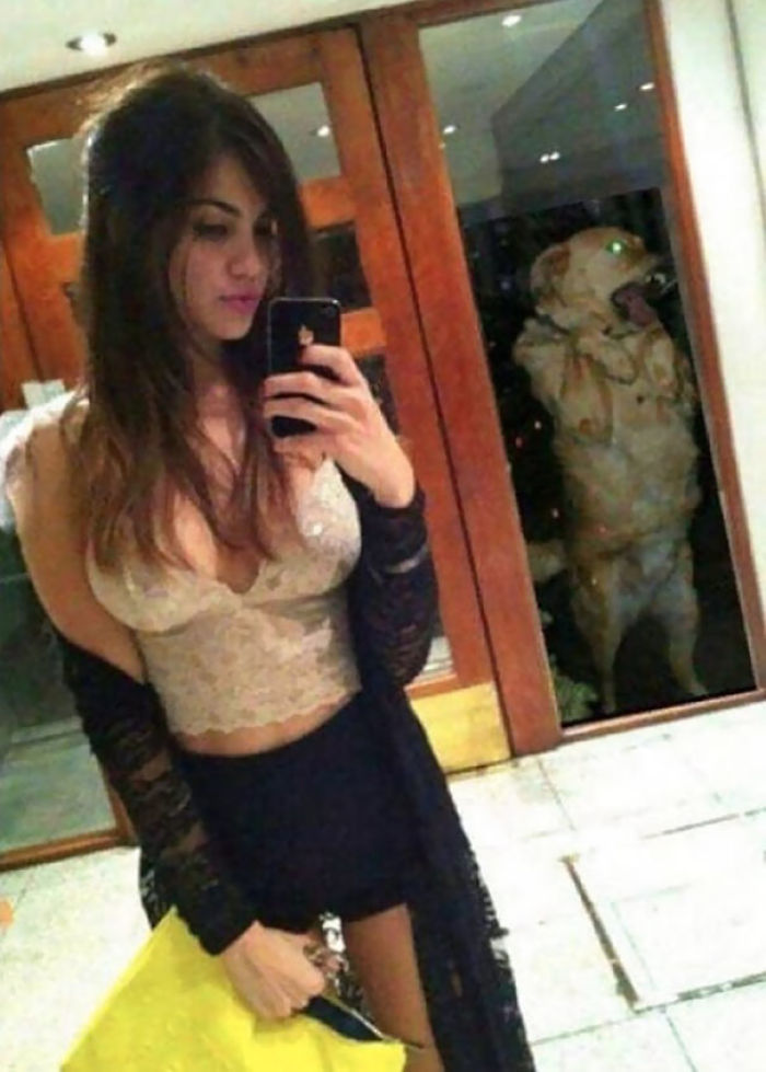 72 Epic Fails and Hilarious Selfies Gone Totally Wrong