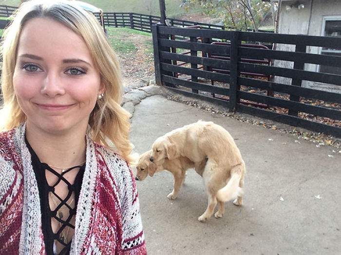 72 Epic Fails and Hilarious Selfies Gone Totally Wrong