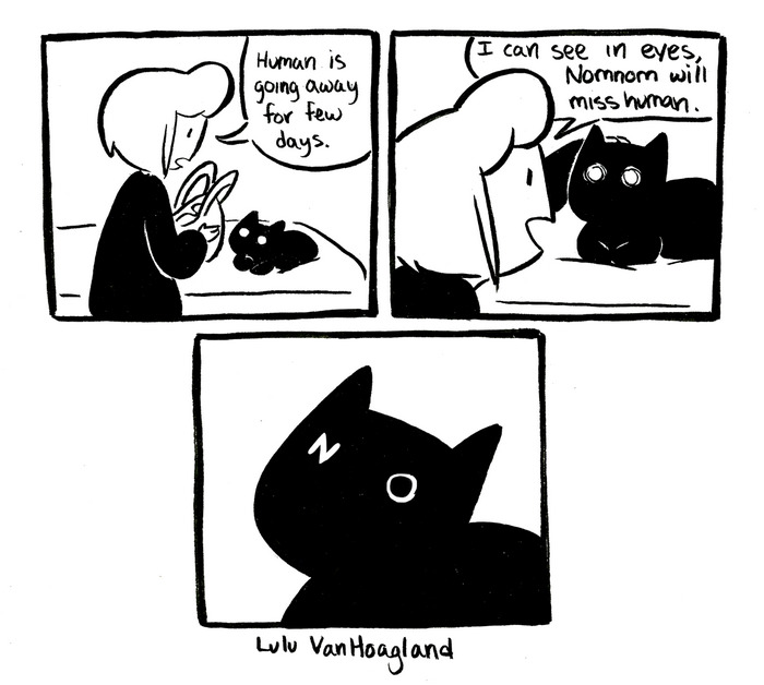 51 Comics By Lulu VanHoagland That Purrfectly Capture Life With Cats