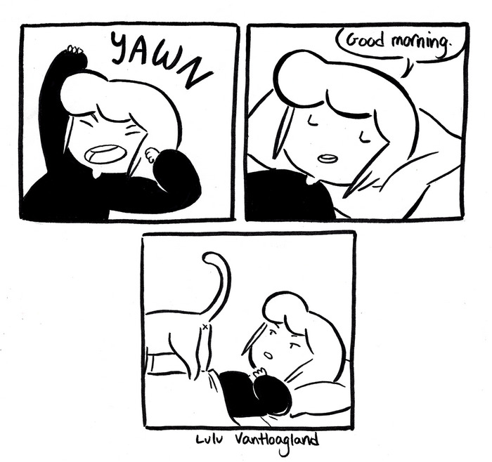 51 Comics By Lulu VanHoagland That Purrfectly Capture Life With Cats