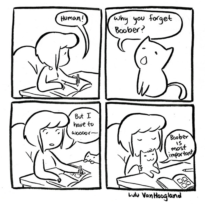 51 Comics By Lulu VanHoagland That Purrfectly Capture Life With Cats