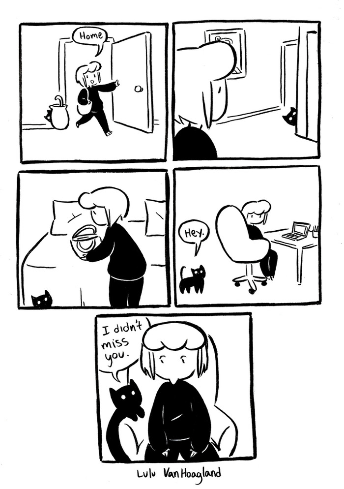 51 Comics By Lulu VanHoagland That Purrfectly Capture Life With Cats