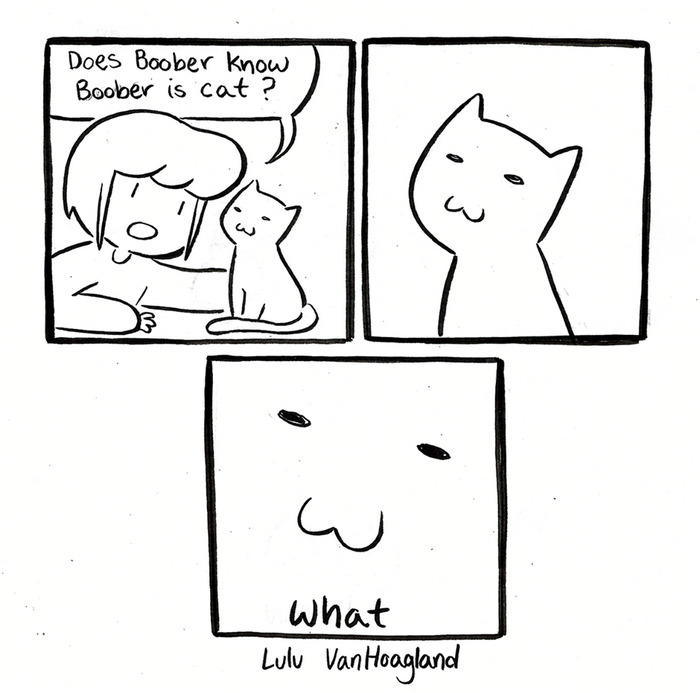 51 Comics By Lulu VanHoagland That Purrfectly Capture Life With Cats