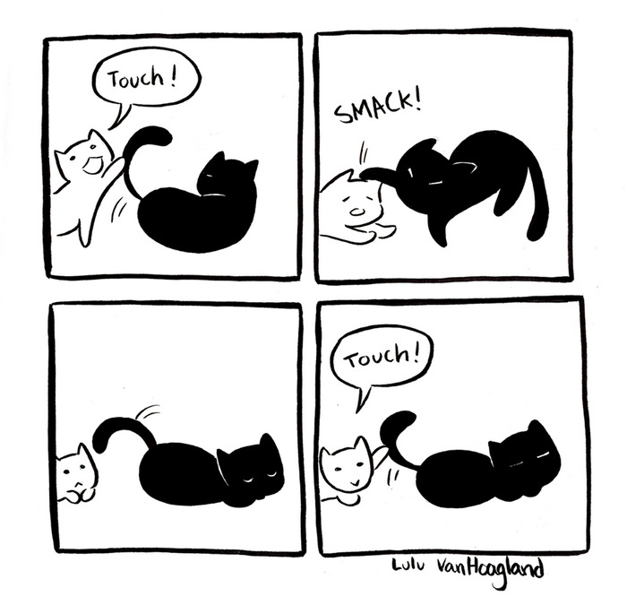 51 Comics By Lulu VanHoagland That Purrfectly Capture Life With Cats