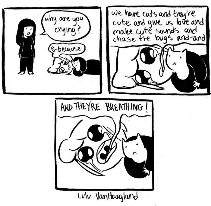 51 Comics By Lulu VanHoagland That Purrfectly Capture Life With Cats