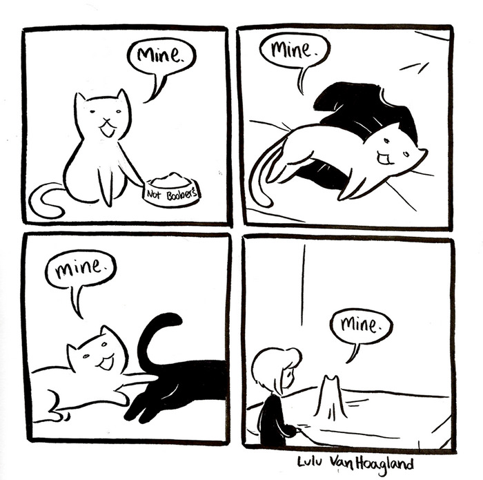 51 Comics By Lulu VanHoagland That Purrfectly Capture Life With Cats