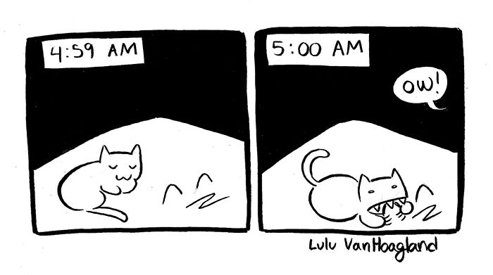 51 Comics By Lulu VanHoagland That Purrfectly Capture Life With Cats