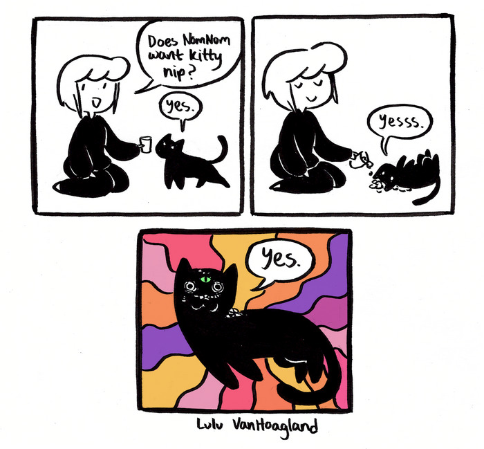 51 Comics By Lulu VanHoagland That Purrfectly Capture Life With Cats
