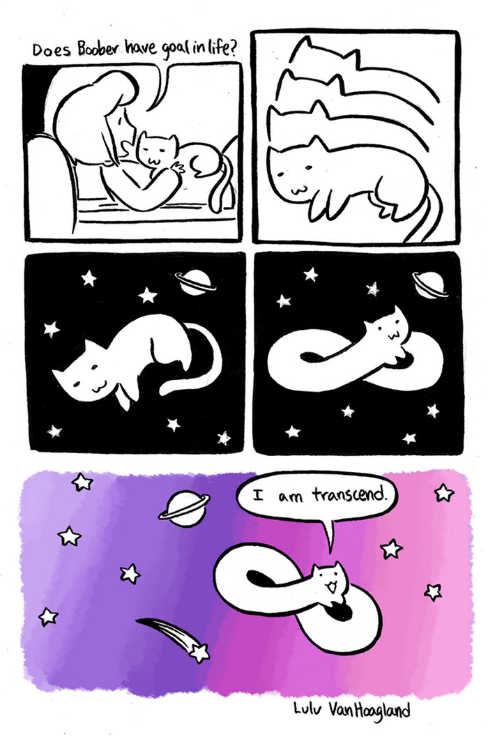 51 Comics By Lulu VanHoagland That Purrfectly Capture Life With Cats
